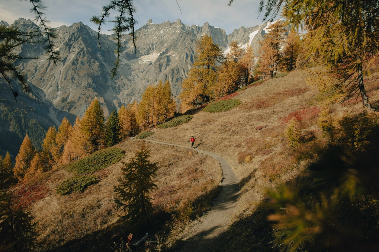 Courmayeur - Alpine Foliage